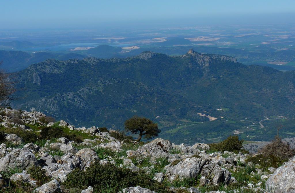 Apartamentos Rurales Sierra Alta Бенаокас Экстерьер фото