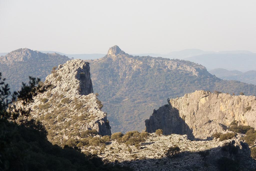 Apartamentos Rurales Sierra Alta Бенаокас Экстерьер фото