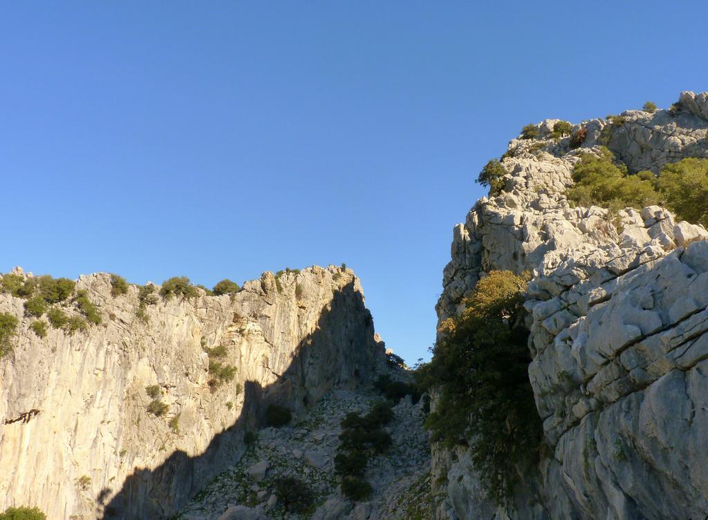 Apartamentos Rurales Sierra Alta Бенаокас Экстерьер фото